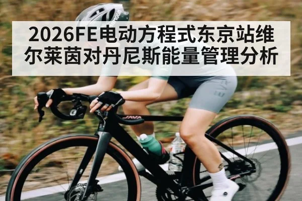 2026FE电动方程式东京站维尔莱茵对丹尼斯能量管理分析